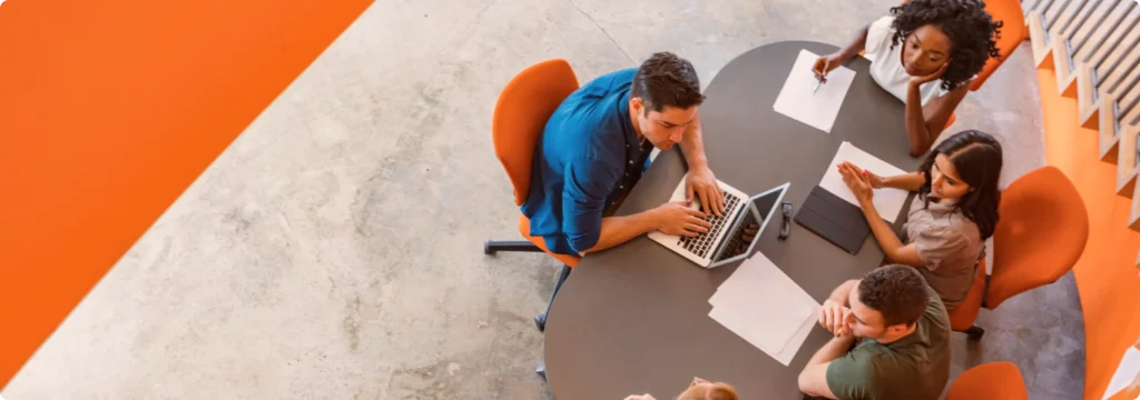 IT Software Services