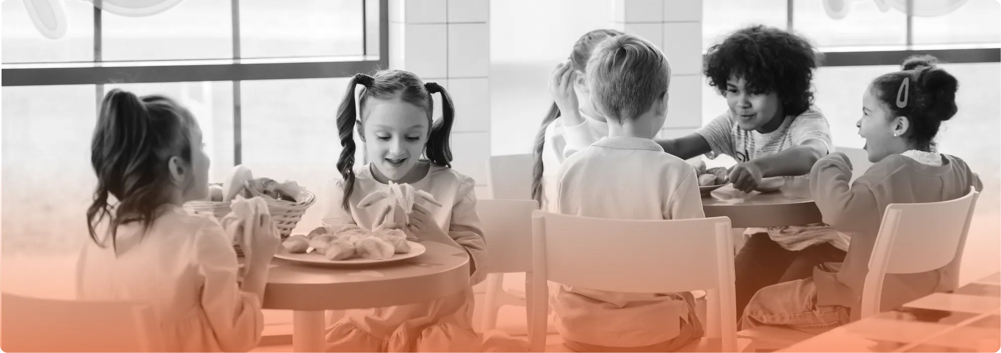 Implemented USDA Meal Applications for the Schools in USA