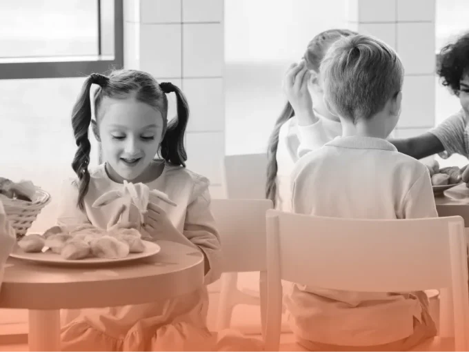 Implemented USDA Meal Applications for the Schools in USA